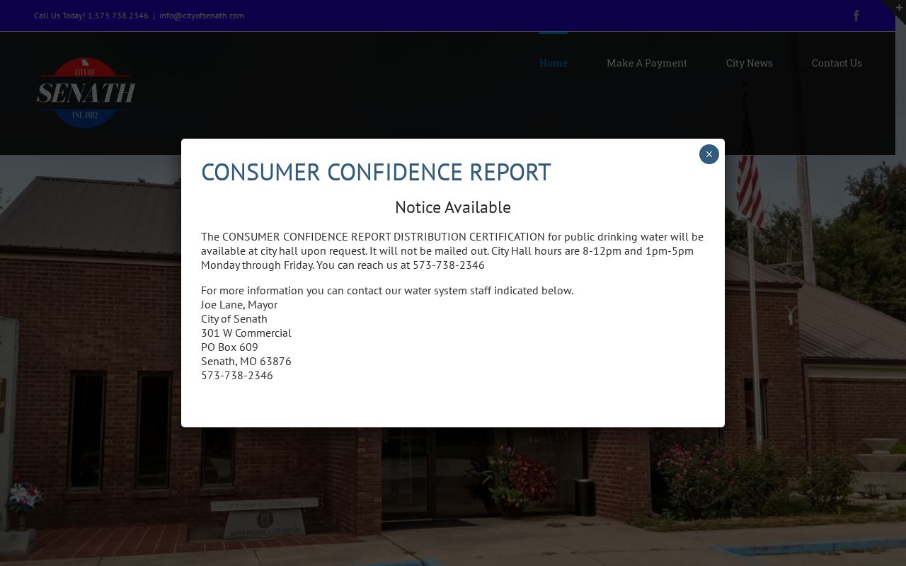 Captured City of Senath webpage showing the official municipal contact source